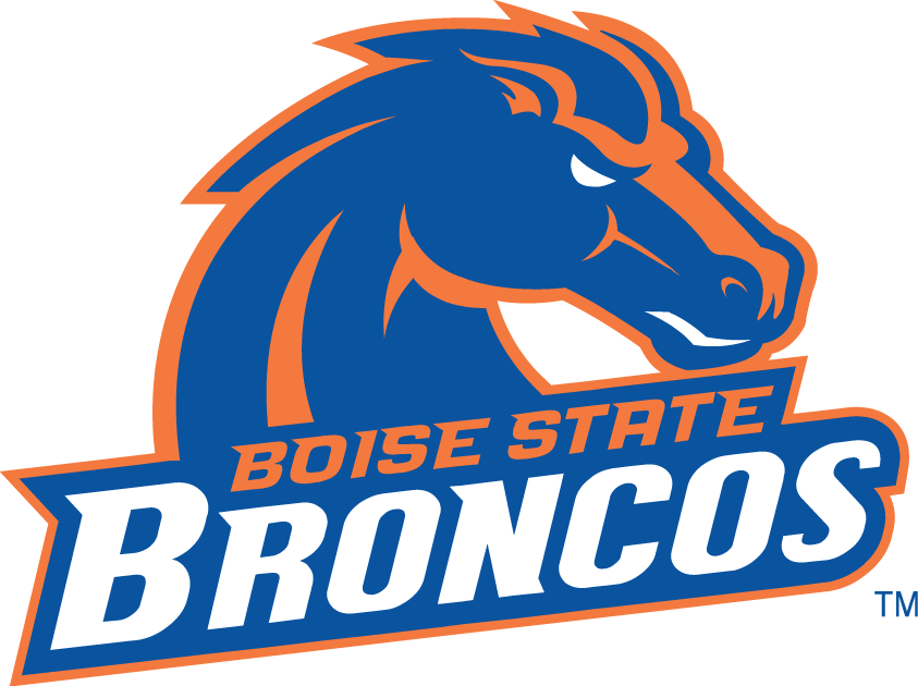 Boise State Broncos 2002-2012 Alternate Logo diy DTF decal sticker